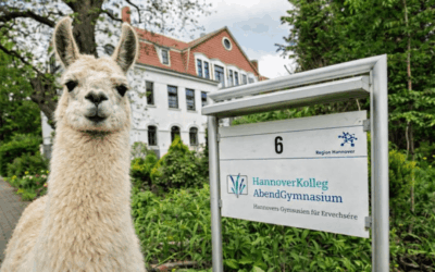 Bildung neu gedacht: Hannover Kolleg & Abendgymnasium setzen auf Schullama Fussel als Lernbegleiter